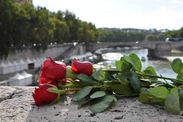 Köprüde bir buket kırmızı gül