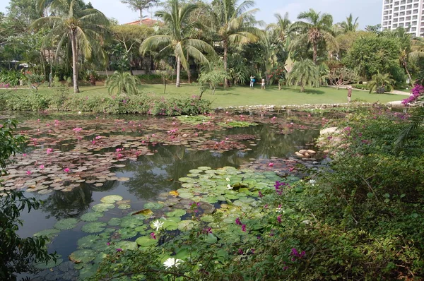 Beautiful Different Island Hainan China — Stock Photo, Image