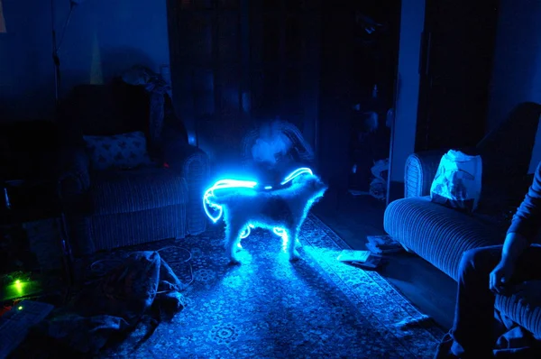 Sanat luminografi, kalem örnekleri