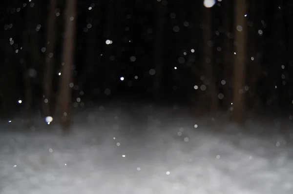 Gece ormanında düşen kar