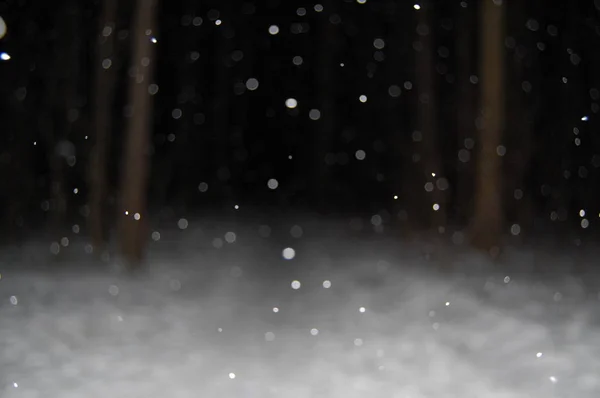 Gece ormanında düşen kar