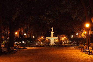 Forsyth Çeşmesi, Forsythe Park, Savannah, Ga