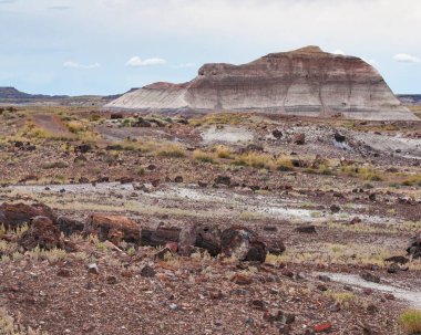 Petrified Forest Ulusal Parkı 'ndaki katmanlı bir tepenin önünde yerde taşlaşmış ağaç var.
