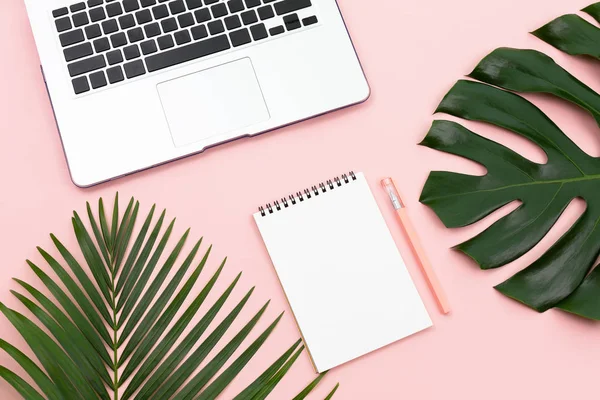 Palm and monstera leaves, laptop, notepad and a pen