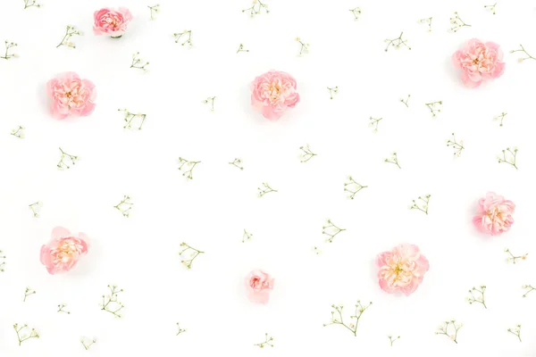 Flower pattern on the white background — Stock Photo, Image