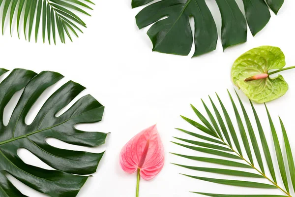 Palms and tropical flowers — Stock Photo, Image