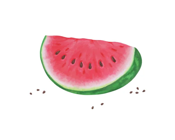 Fetta di anguria su fondo bianco, frutta estiva, illustrazione vettoriale. design per biglietto di auguri e invito di vacanze estive stagionali — Vettoriale Stock