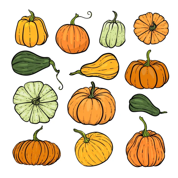 Set decoratieve oranje en groene pompoenen. Met de hand getekend schets vector herfst illustratie. Thanksgiving Day, Halloween Vakantie achtergrond. Oogsten — Stockvector