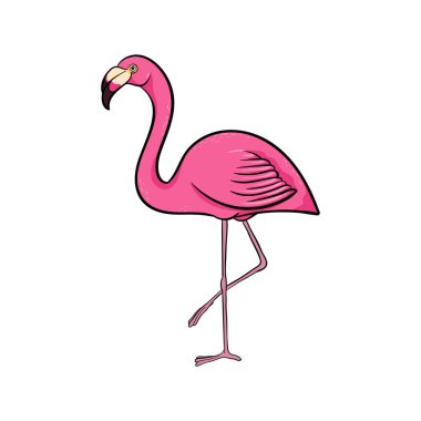 El çizimi şirin pembe flamingo çizgi filmi tek bacakta kalıyor, beyaz arka planda izole edilmiş renkli çizim tarzı vektör çizimi. El çizimi flamingo şirin yaz sembolü.