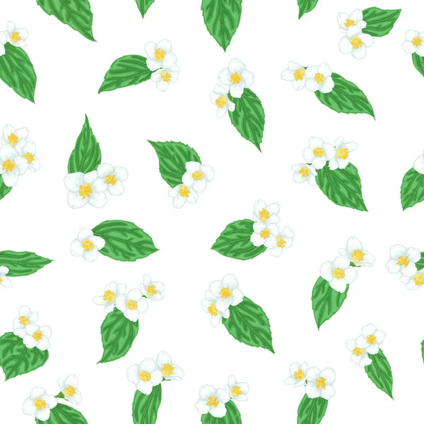 Semless Wzór Gałąź Kwiat Jaśmin Zielonymi Liśćmi Kreskówki Akwarela Styl — Wektor stockowy