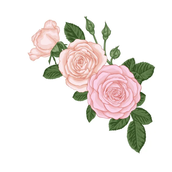 Beautiful Bouquet Vintage Pink Roses Buds Leaves Floral Arrangement Design — Stock Vector