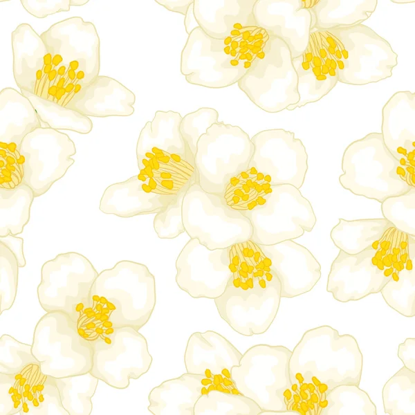 Semless Wzór Gałąź Biały Kwiat Jaśmin Graficznym Akwarelowym Stylu Izolowane — Wektor stockowy