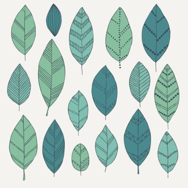 Bir karalama seti izole edilmiş yaprak karalaması. Geçmiş tasarım tebrik kartları ve düğün davetiyeleri, doğum günü, anneler günü ve diğer mevsimsel sonbahar, bahar, yaz tatilleri.