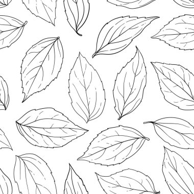 Kusursuz desenli siyah beyaz yapraklı arka plan. Çizim ve karalama tarzında elle çizilmiş. Geçmiş tasarım tebrik kartları ve davetiyeler mevsimsel sonbahar, bahar, yaz tatilleri.