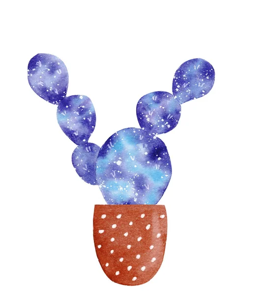 Aquarel galaxy handbeschilderd cactus plant geïsoleerd op witte achtergrond. — Stockfoto