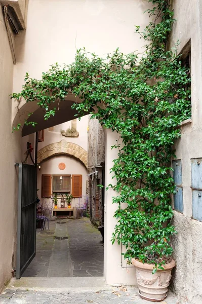 Ulica miasta Orvieto, Włochy, Umbria. — Zdjęcie stockowe