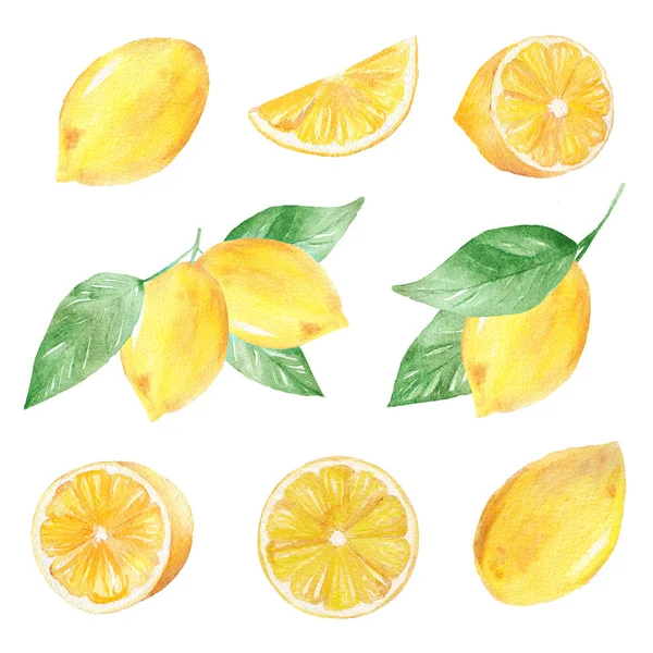 Акварель ручна пофарбована колекція лимона. Може використовуватися для друку та оздоблення . — стокове фото