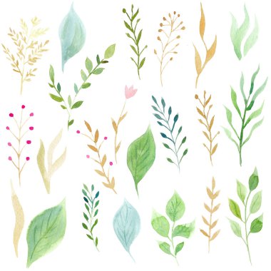 El boyalı suluboya yeşil yaprakları ve Brunch 'ları seti