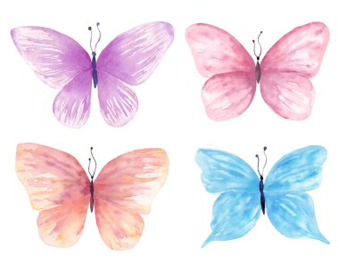 Suluboya kelebek elle çizilmiş resim ayarlayın. Tebrik kartları, düğün davetiyeleri, logosu için kullanılabilir t-shirt, çanta, kumaş üzerine baskı poster, duvar kağıtları, ambalaj.