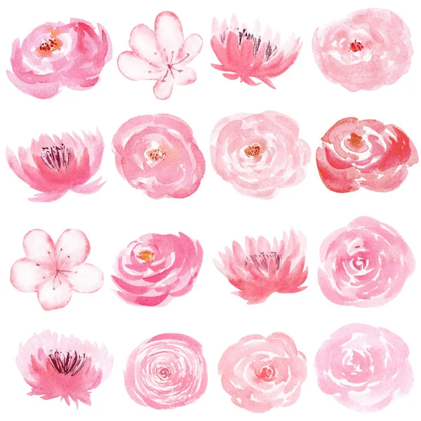 Set van de hand geschilderde aquarel bloemen in pastel roze kleur. — Stockfoto