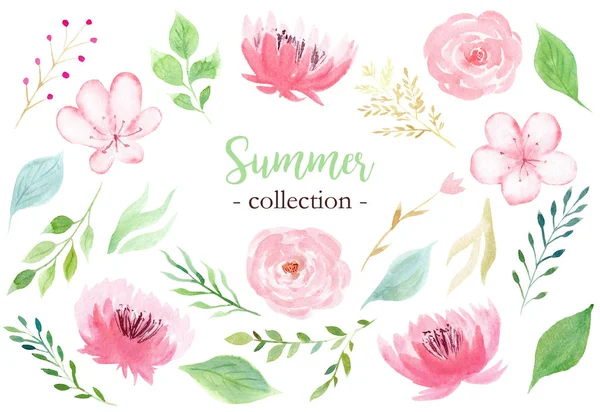 Σετ ζωγραφισμένα χειροποίητα λουλούδια σε παστέλ ροζ χρώμα. — Φωτογραφία Αρχείου