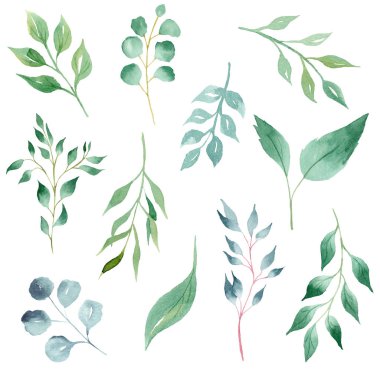 Ağaç yaprakları el çizilmiş suluboya illüstrasyon seti