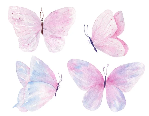 Butterflies hand drawn watercolor raster illustrations set — Stock Photo, Image