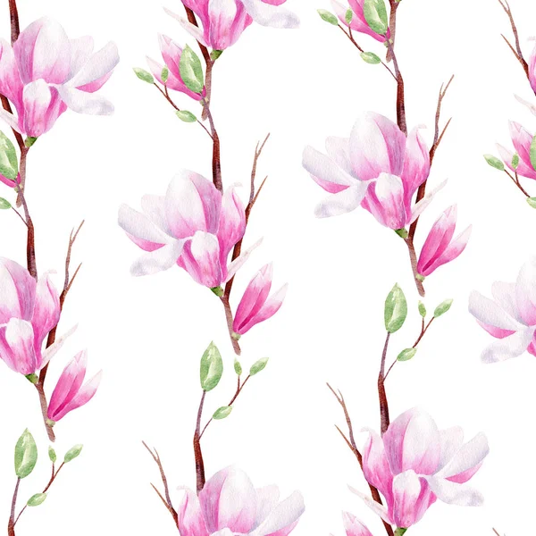 Magnolia Blossom på gren handritade akvarell sömlösa mönster — Stockfoto