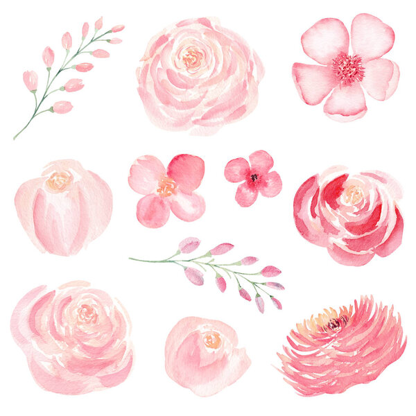 Pink flowers hand drawn watercolor raster illustrations set