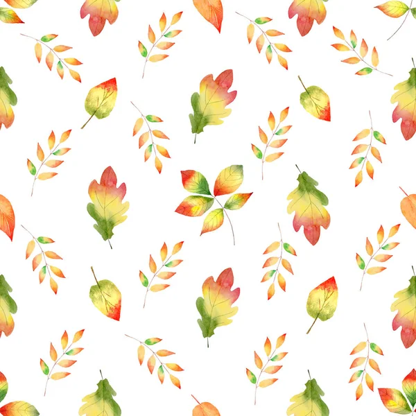 Colorido follaje del bosque otoñal patrón de trama de acuarela sin costuras — Foto de Stock