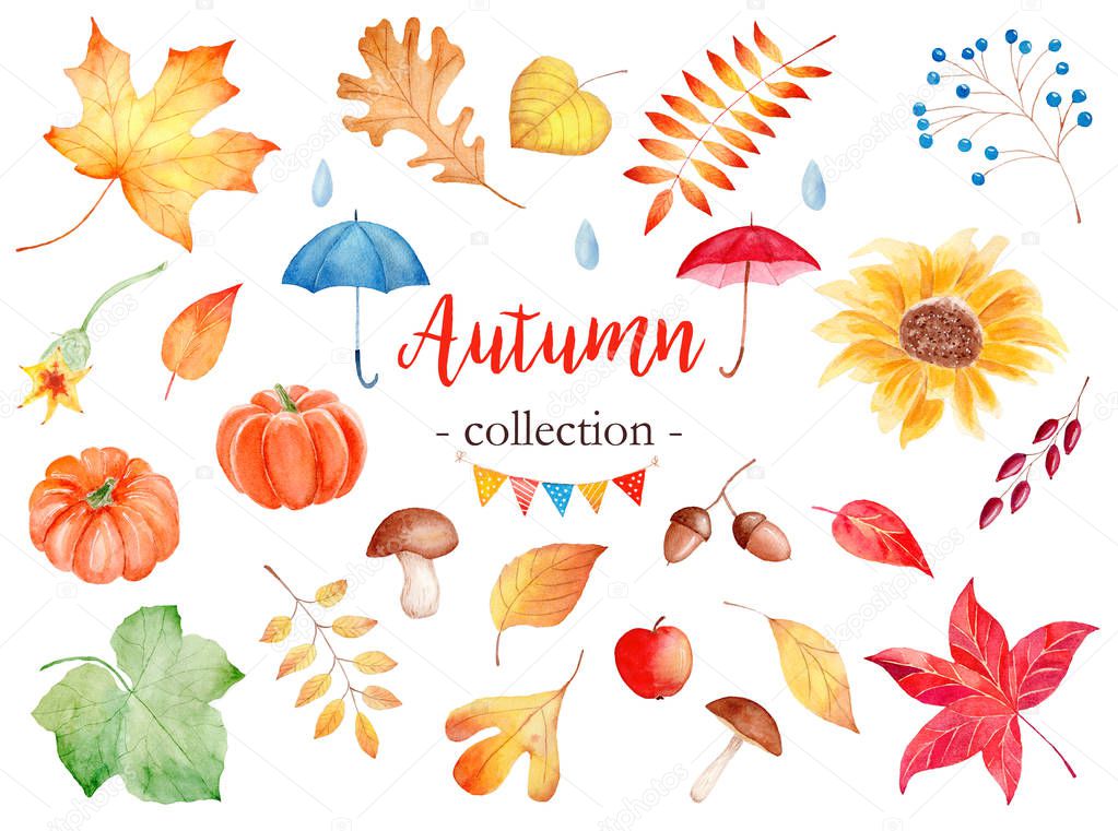 Decorative autumn season attributes watercolor raster illustrations set