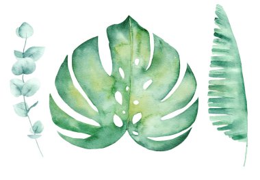 Tropikal yaprakları el çizilmiş suluboya raster illüstrasyon seti