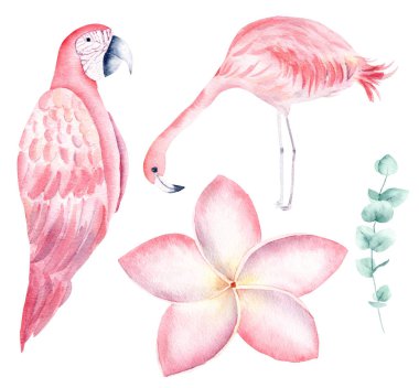 Tropikal doğa el çizilmiş suluboya raster illüstrasyon seti