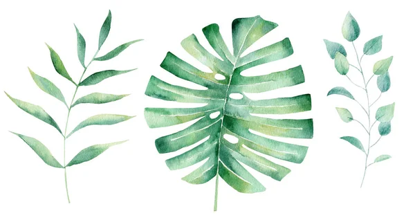Yeşil yapraklar el çizilmiş suluboya raster illüstrasyon seti — Stok fotoğraf