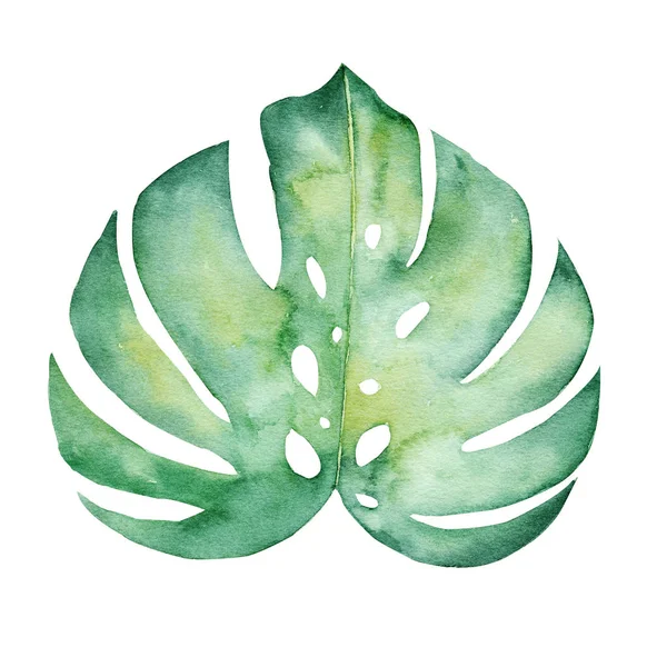 Monstera liść akwarela rysunek ręcznie rysowane — Zdjęcie stockowe