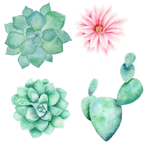 Garden flora hand drawn watercolor raster illustration set