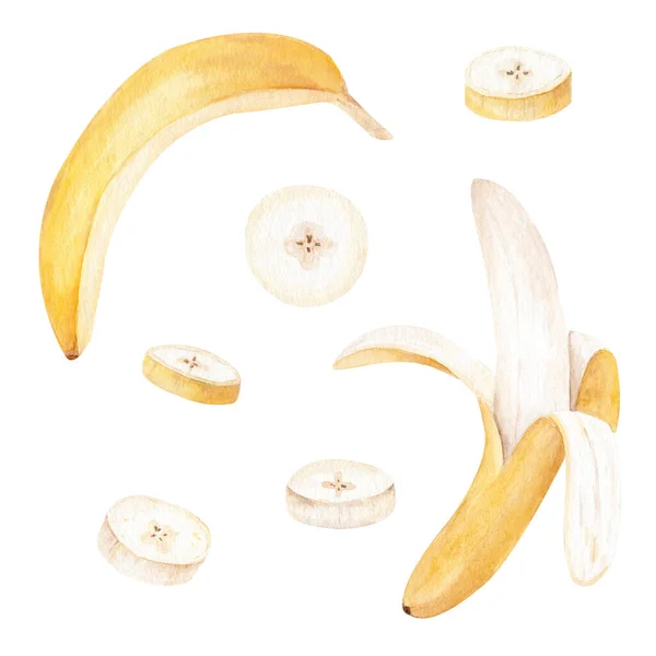Banan tropikalny owoc akwarela clipart. Ręcznie malowane ilustracja żywności. — Zdjęcie stockowe