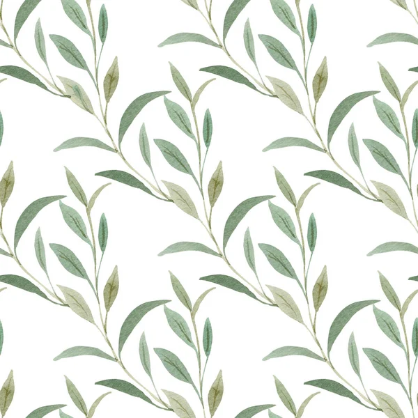 Zielony akwarela bezszwowy wzór izolowany na białym tle. Ilustracja botaniczna. — Zdjęcie stockowe