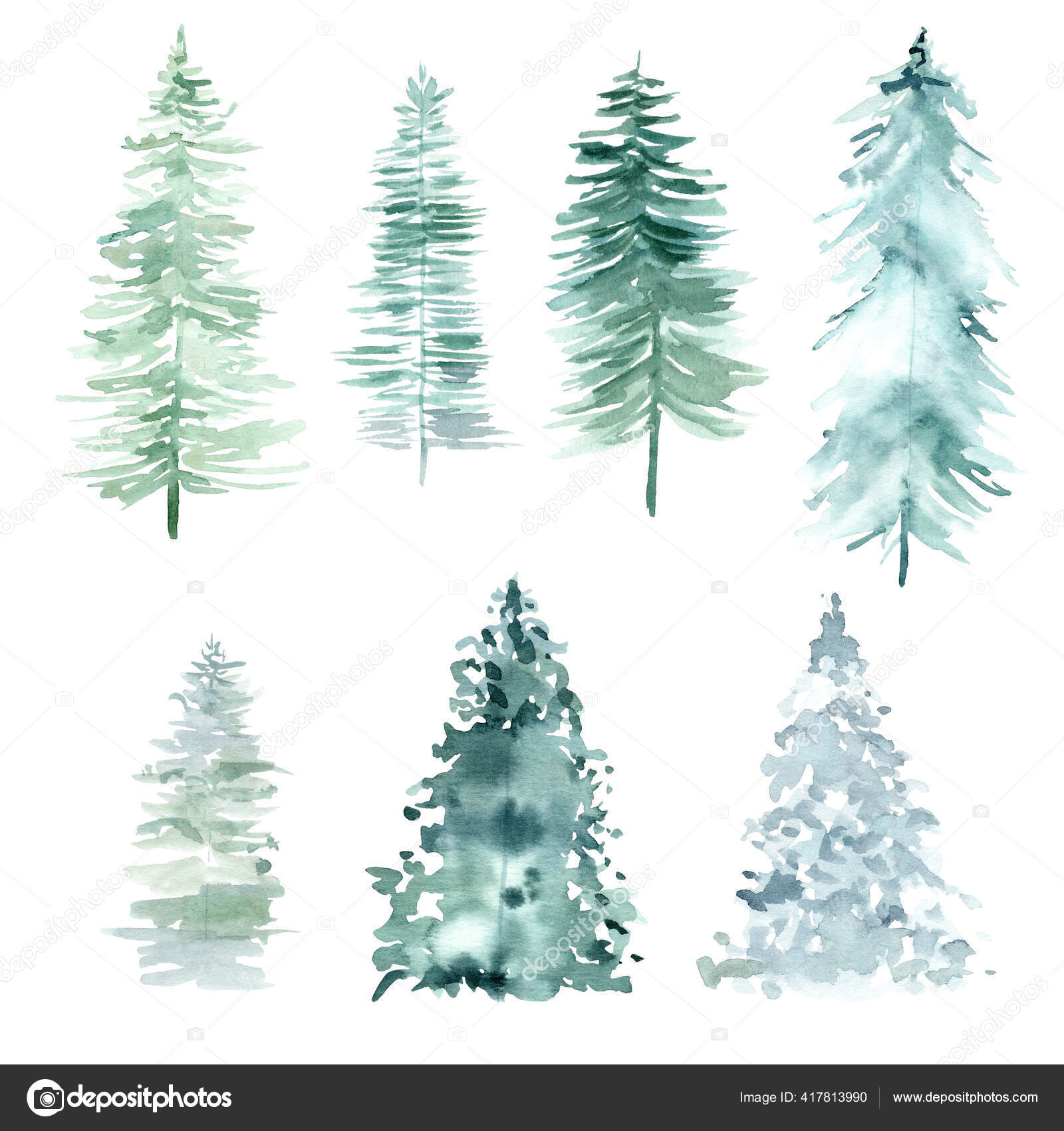 Pictures Of Pine Trees | Pine tree drawing, White pine tree, Free clip art