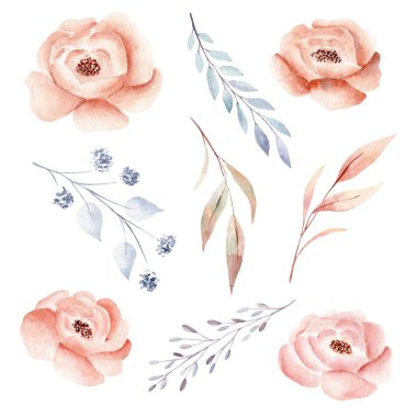 Suluboya çiçek ve dal yaprakları. Sonbahar klipsi. El çizimi tasarım elemanları.