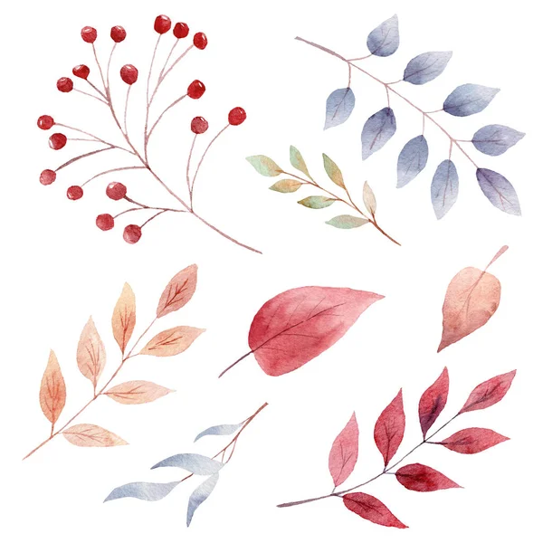 손으로 분홍빛 낙엽과 열매를 색칠하였다. 가을 구간이다. 감사 카드, 초대장을 위한 그래픽. — 스톡 사진