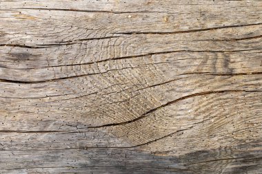 Çok eski bir tahta üzerinde çatlaklar ve oyuklar var..