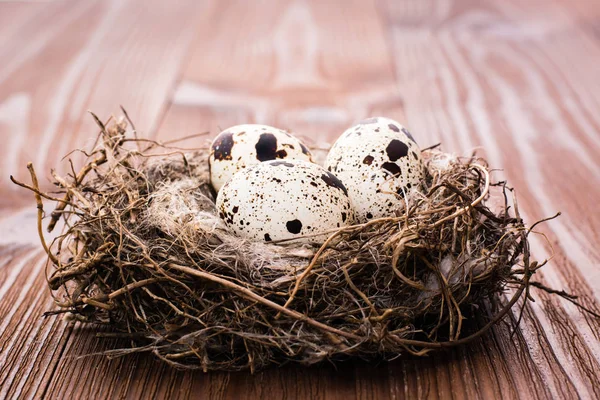 Quail eggs in nest on a wooden table