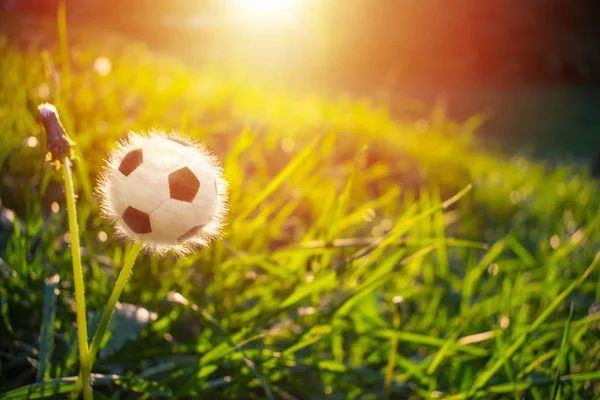 日光の背景に緑の芝生の上のタンポポの花の形でサッカー サッカー ボール 競争の概念の世界カップ優勝 選手権 コピー スペース — ストック写真