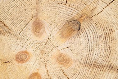 Ahşap yapı arka plan. Ağaç Kereste Sanayi ahşap doku, ahşap arka plan butts. Popo işlenmiş ahşap kiriş sonu. Yapıştırılmış kirişler