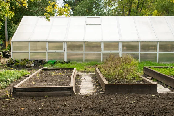 Greenhouse Plowed Flowerbeds Park Glass Greenhouse Site Growing Seedlings Bushes — Stock Photo, Image