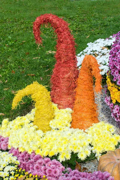 Piękny Kwiat Układ Wielokolorowe Wirh Trzy Czerwony Żółty Pomarańczowe Stożki — Zdjęcie stockowe