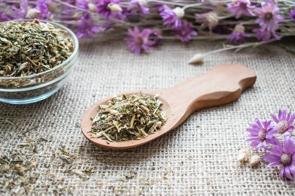 Tahta kaşık çul arka plan üzerinde beggarticks (siyah jack) bitki kuru. Tripartita bidens (beggarticks | Üç Boğumlu bur-kadife çiçeği) bitkisel çay. Tıbbi bitki Bidens pilosa Xian feng cao geleneksel Çin tıbbı denilen.