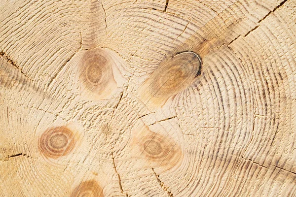 Ahşap yapı arka plan. Ağaç Kereste Sanayi ahşap doku, ahşap arka plan butts. Popo işlenmiş ahşap kiriş sonu. Yapıştırılmış kirişler