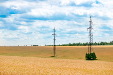Elektrik iletim mavi bulutlu gökyüzü karşı sarı buğday alanında. Sanayi peyzaj